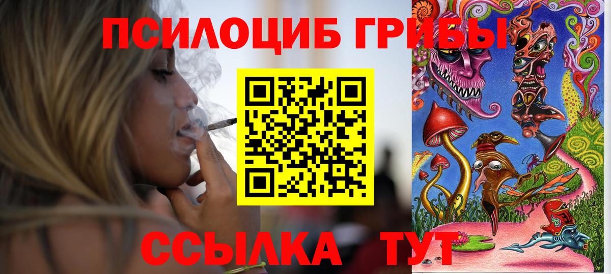 Шатура  Галлюциногенные грибы прущие грибы  Вход с VPN 